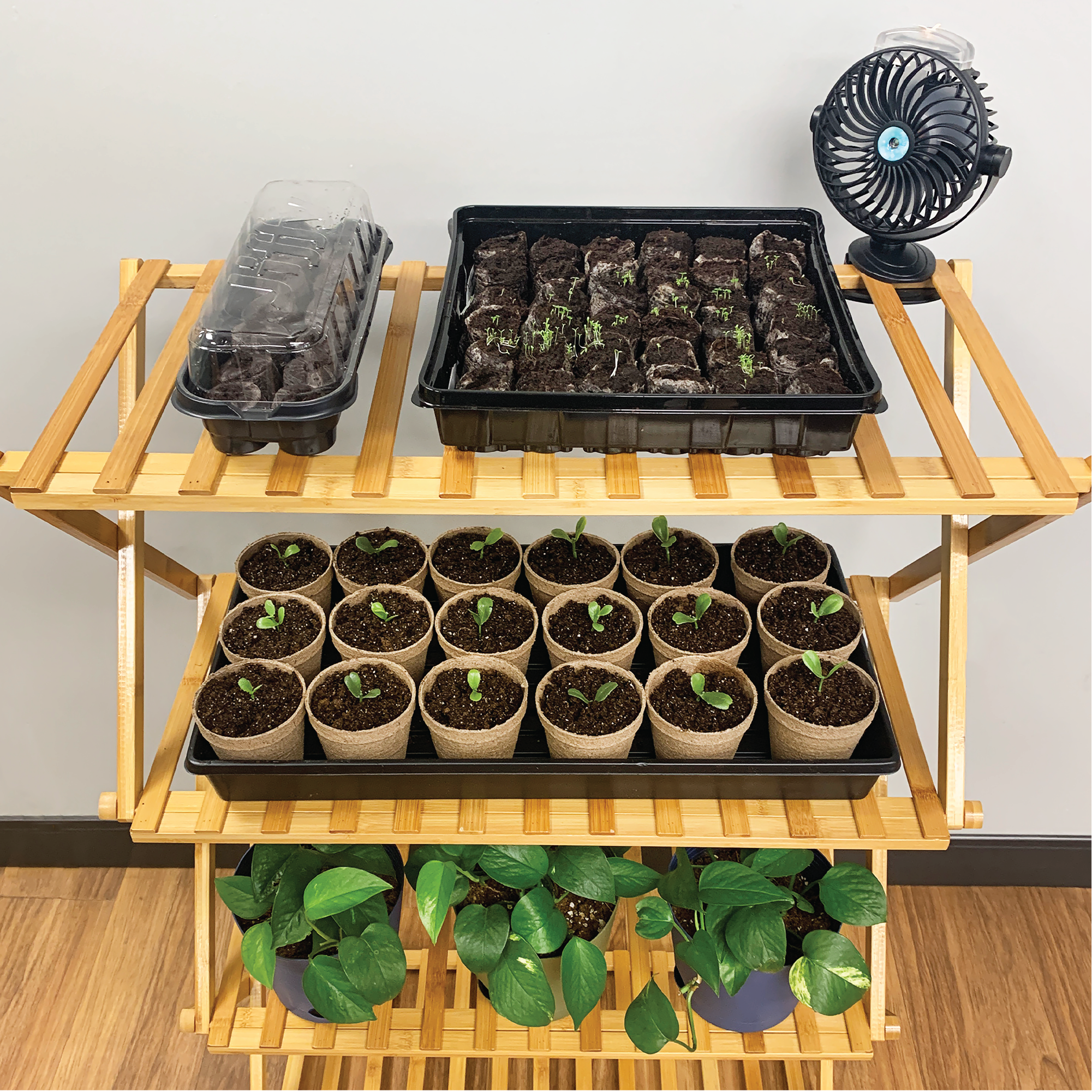 Ferry-Morse 3-in-1 Mini Mist Fan for Seedlings